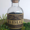 Mandrake